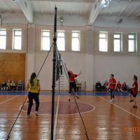 Областные соревнования по волейболу среди девушек