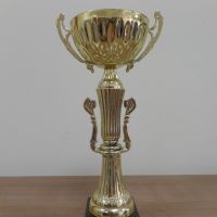 За победу в открытом розыгрыше кубка Слободского района, посвящённого 90-летию ВЛКСМ 2008 год