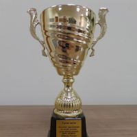 3 место областные соревнования по лёгкой атлетике среди команд девушек 2018 год